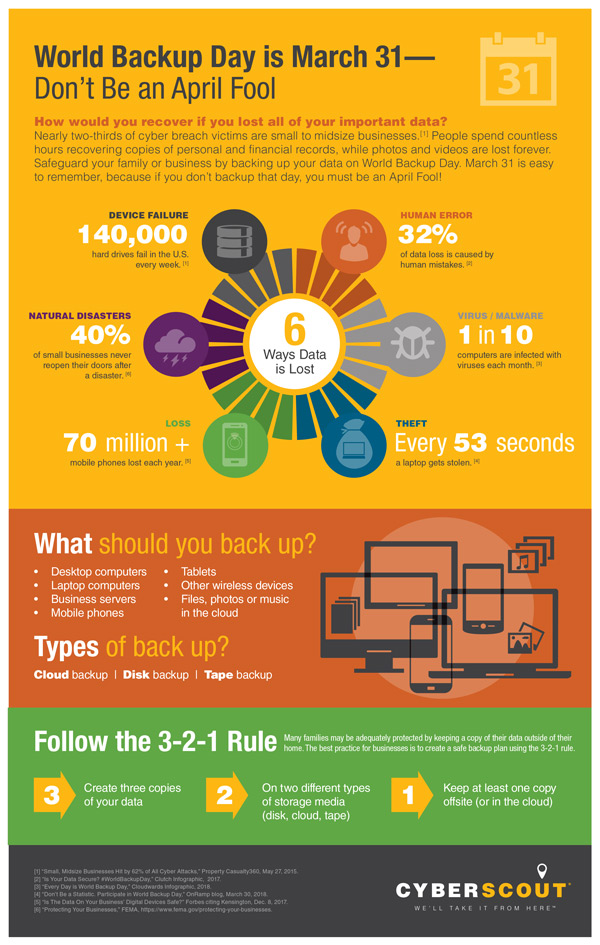 data backup day infographic from CyberScout