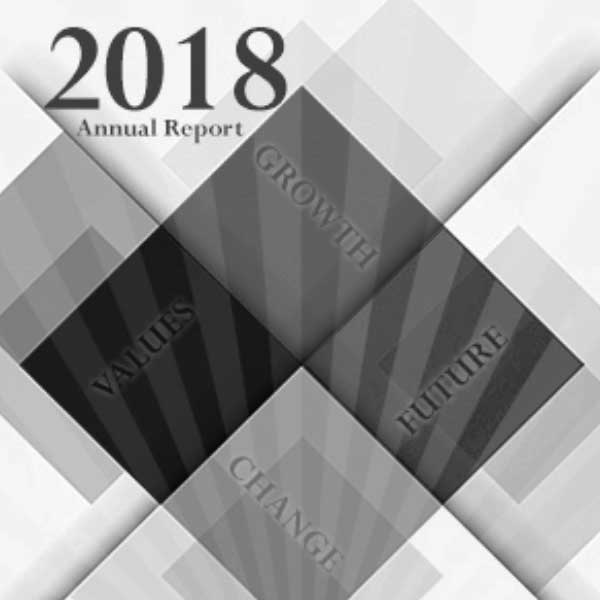annual report 2018 cover