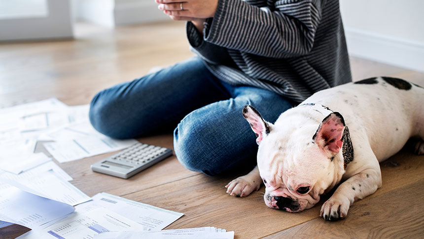 A dog sitting by its owner with a bunch of papers and a calculator scattered about.